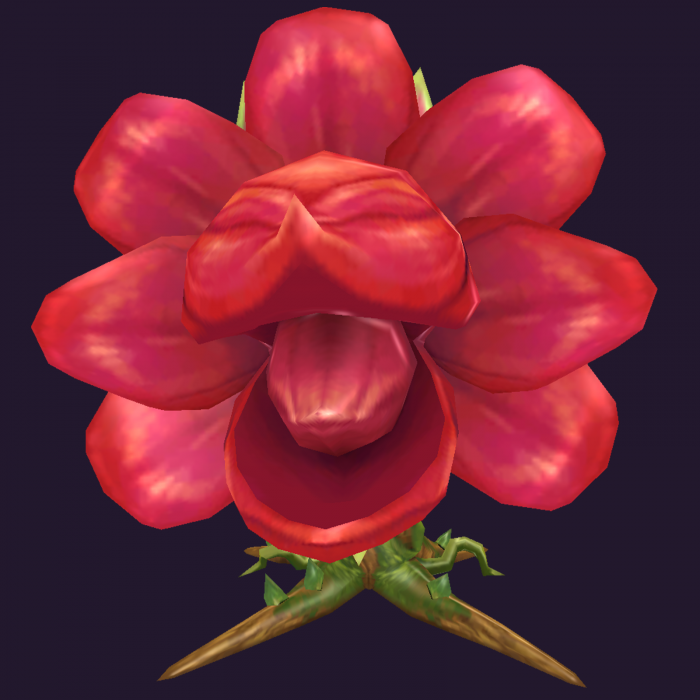 Lebende Rose