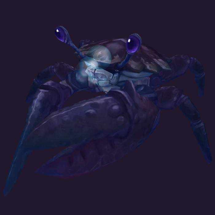 Saphirkrabbe