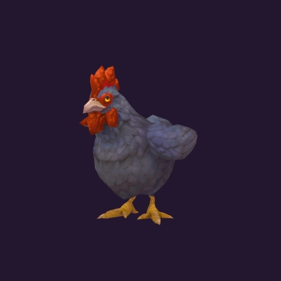 WoW Haustier kaufen: Anconahuhn - World of Warcraft Pet