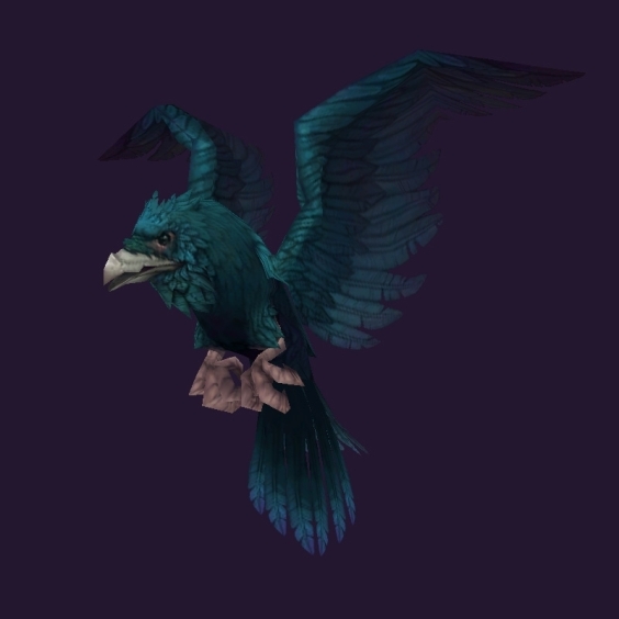 WoW Haustier kaufen: Gilnearischer Rabe (SS-Züchtung) - World of Warcraft Pet