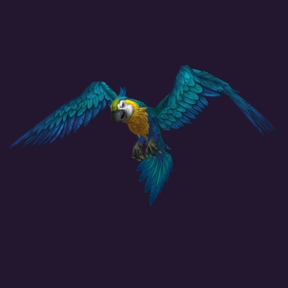 WoW Haustier kaufen: Großschwingenara - World of Warcraft Pet