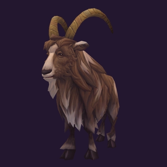 WoW Haustier kaufen: Klippenhufkitz - World of Warcraft Pet