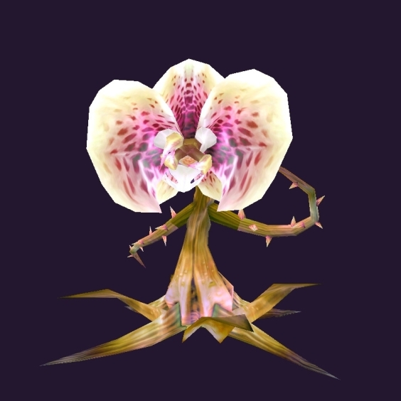 WoW Haustier kaufen: Knallpeitscher - World of Warcraft Pet