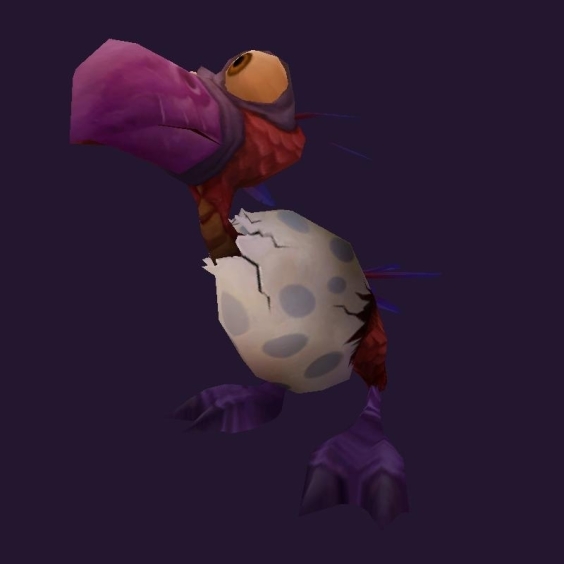 WoW Haustier kaufen: Kolumbus - World of Warcraft Pet