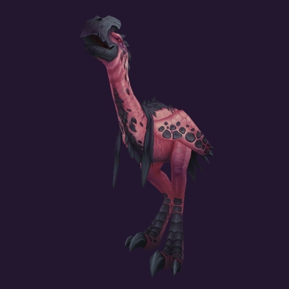 WoW Haustier kaufen: Liebesvogelküken - World of Warcraft Pet