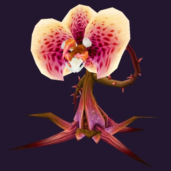 WoW Haustier kaufen: Peitschling aus dem Am'mental - World of Warcraft Pet