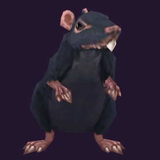 WoW Haustier kaufen: Riesige Kanalratte - World of Warcraft Pet