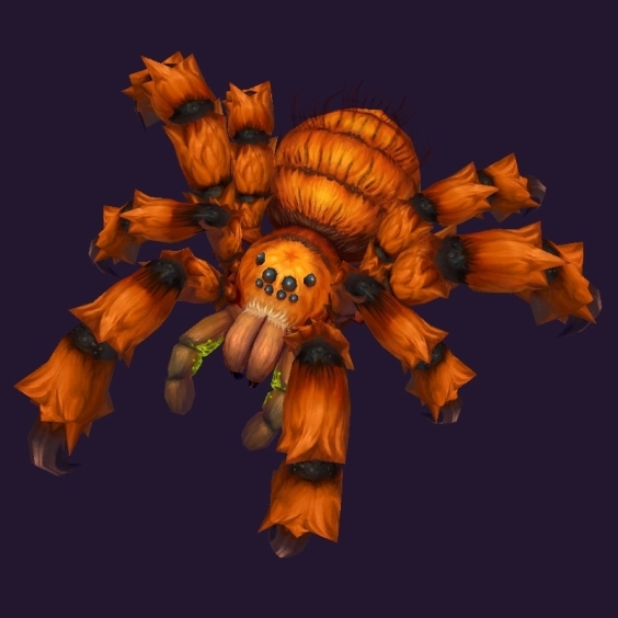 WoW Haustier kaufen: Rotkammtarantel - World of Warcraft Pet