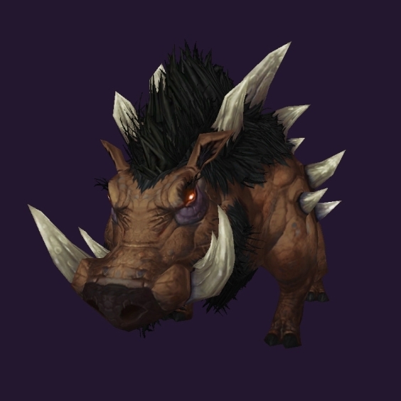 WoW Haustier kaufen: Bergrückenferkel - World of Warcraft Pet