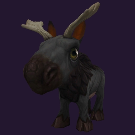 WoW Haustier kaufen: Steinhautbaby - World of Warcraft Pet