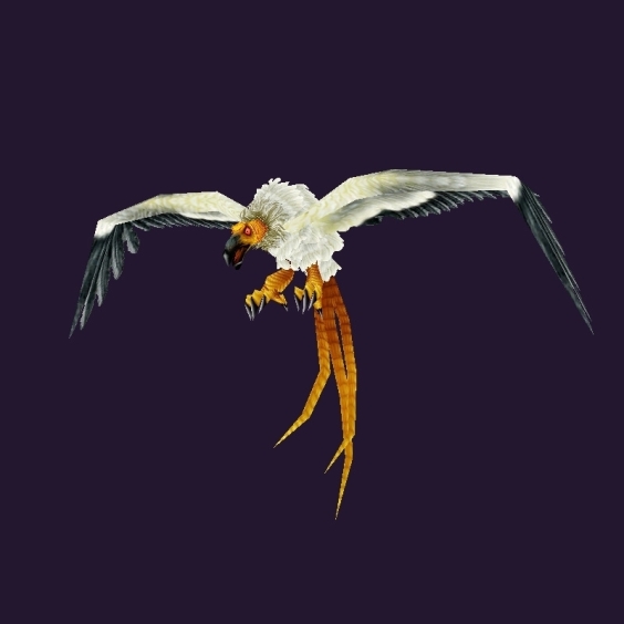 WoW Haustier kaufen: Albinobussard - World of Warcraft Pet