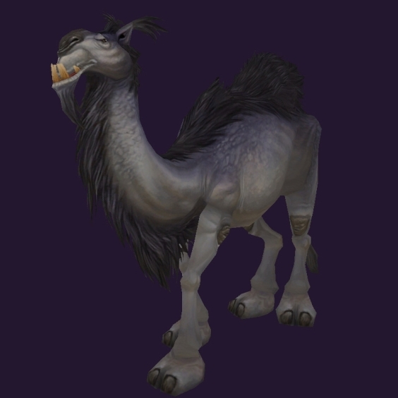WoW Haustier kaufen: Zwergkamel - World of Warcraft Pet