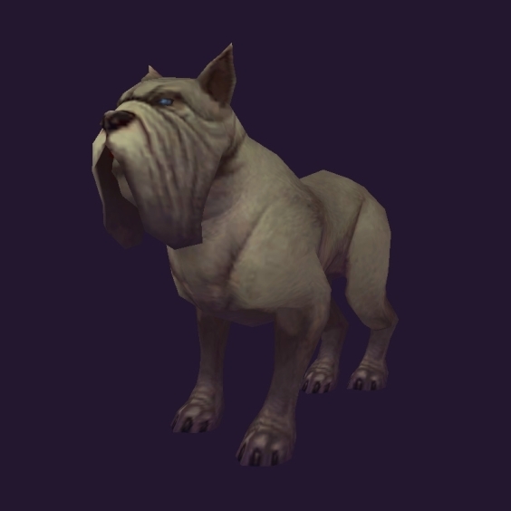 WoW Haustier kaufen: Brummer - World of Warcraft Pet