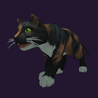 WoW Haustier kaufen: Dreifarbige Katze - World of Warcraft Pet