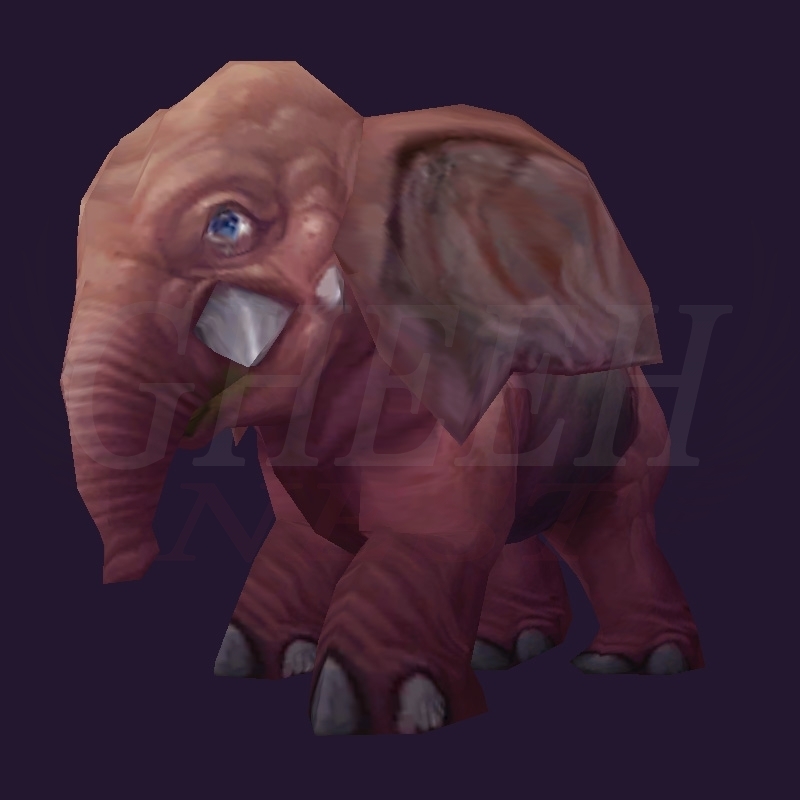 WoW Haustier kaufen: Kleiner rosafarbener Dickhäuter - World of Warcraft Pet