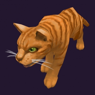 WoW Haustier kaufen: Orangefarbene Tigerkatze - World of Warcraft Pet