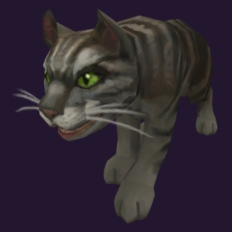 WoW Haustier kaufen: Schwarze Tigerkatze - World of Warcraft Pet