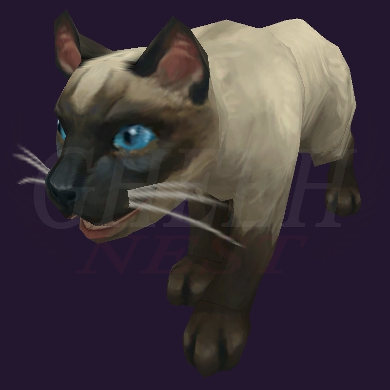 WoW Haustier kaufen: Siamkatze - World of Warcraft Pet