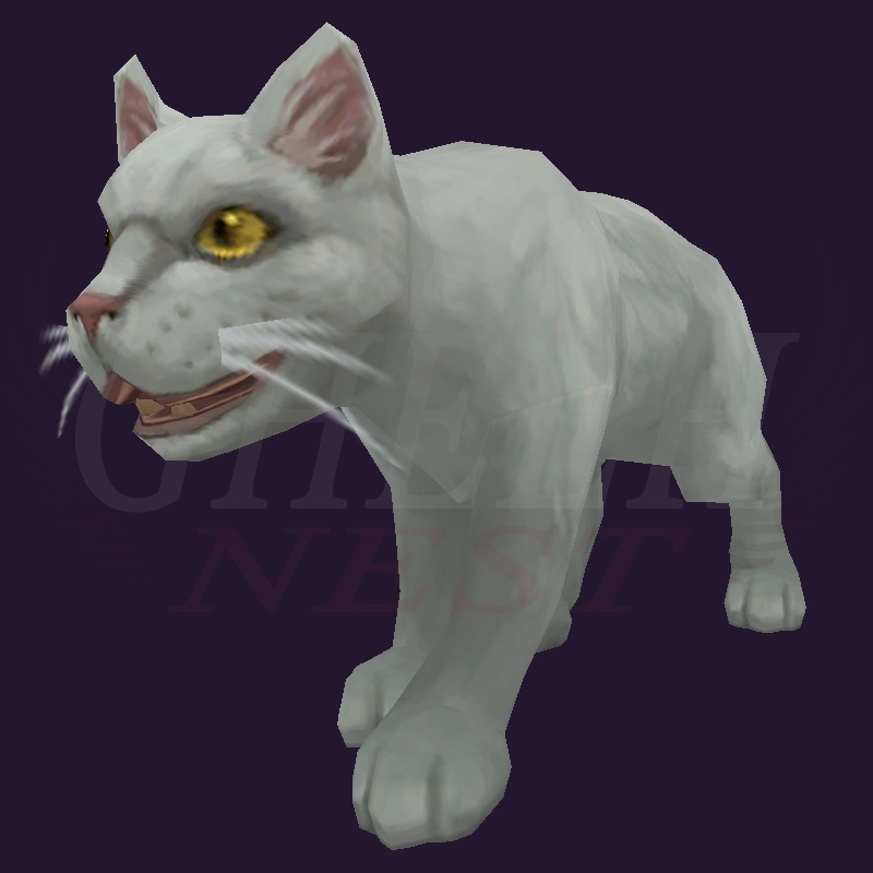 WoW Haustier kaufen: Weißes Kätzchen - World of Warcraft Pet