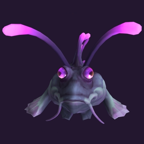 WoW Haustier kaufen: Zucki - World of Warcraft Pet