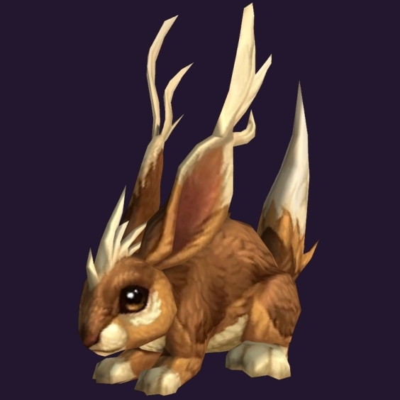 WoW Haustier kaufen: Zotti - World of Warcraft Pet